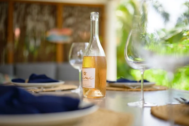 Villa Blue Palm Curacao Vakantiehuizen