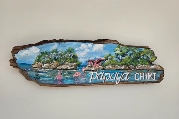 Papaya Chiki Curacao Vakantiehuizen