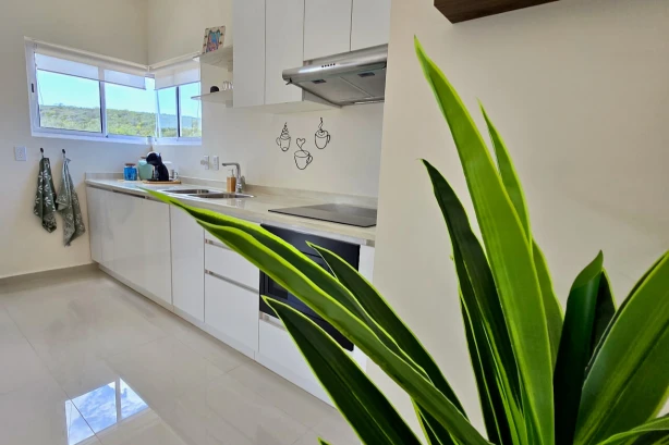 Papaya Chiki Curacao Vakantiehuizen